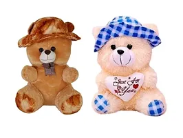 Combo Teddy Bear For Kids-thumb1