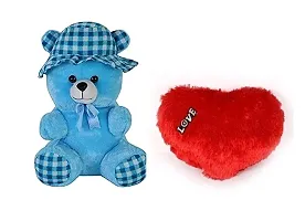 Combo Teddy Bear For Kids-thumb1