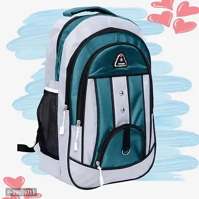 Trendy Stylish Backpack-thumb0