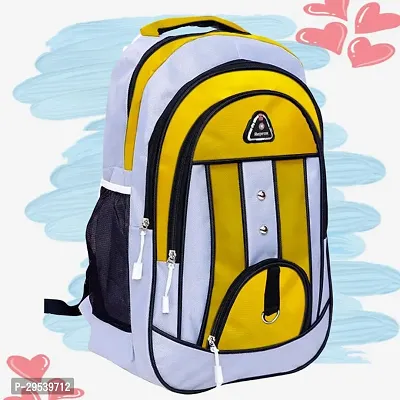 Trendy Stylish Backpack-thumb0