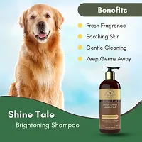 PETCAST BRIGHTENING SHAMPOO for Dogs And Cats 300ML Whitening and Color Enhancing WITH PET FRIENDLY FRAGNANCE Dog Shampoo 300 ml-thumb3