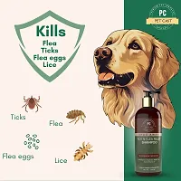 PETCAST SHOOAWAY TICK N FLEA SHAMPOO FOR DOGS AND CATS Flea and Tick Allergy Relief Antimicrobial LONGLASTING FRAGNANCE Dog Shampoo 300 ml-thumb1