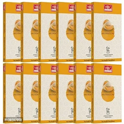 Archita YOG Mantra Dhoopstick Fruity Scent- Pack of 12, 120 Sticks (10 Sticks per Box) (Muskmelon)