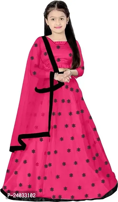 Clothes Shop Girls Net Embroidered Wedding Wear Lehenga Choli