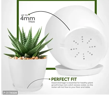 Home Gardening Flower Pot