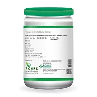 PCHPL wellness Vegayum Vegan Protein Powder- 500g | BCAA 2.79G with omega 3, 6  9 fatty Acids (Pack of 1)-thumb2