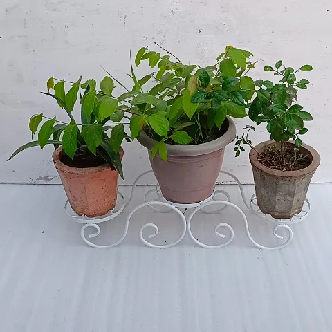 onlinecraft Iron Pot Stand Garden Flower Pot Stand