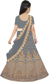 Stylish Grey Embroidery Silk Blend Lehenga Choli For Girls-thumb1