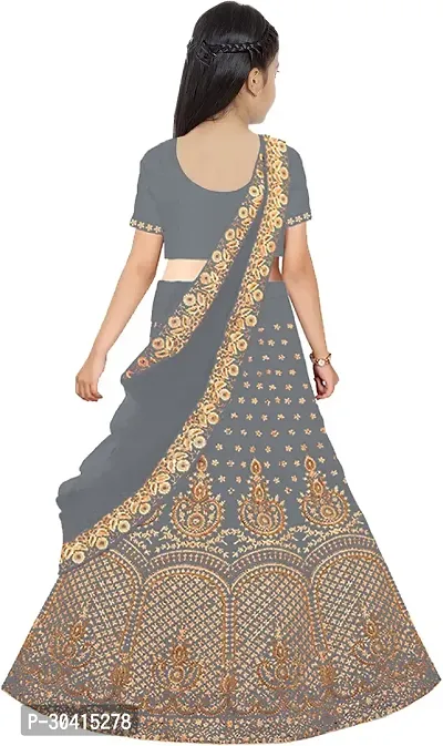 Stylish Grey Embroidery Silk Blend Lehenga Choli For Girls-thumb2