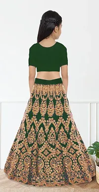 Stylish Green Embroidery Silk Blend Lehenga Choli For Girls-thumb1