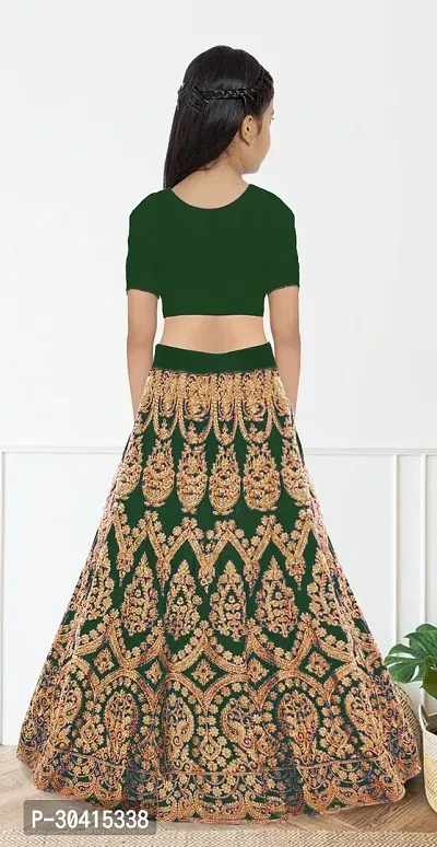 Stylish Green Embroidery Silk Blend Lehenga Choli For Girls-thumb2