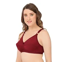 Fancy Polycotton Bra For Women-thumb3