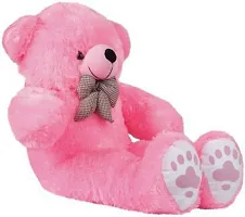 Beautiful Teddy Bears Soft Toys For Kids-thumb1