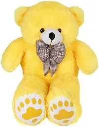 Beautiful Teddy Bears Soft Toys For Kids-thumb2