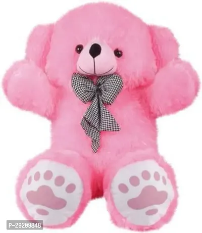 Soft Stuffed Lovable and Huggable Teddy Bear