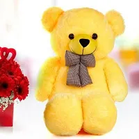 Beautiful Teddy Bears Soft Toys For Kids-thumb3