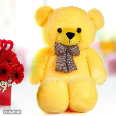 Beautiful Teddy Bears Soft Toys For Kids-thumb4