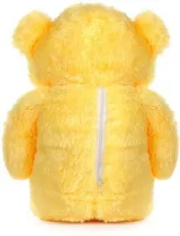 Beautiful Teddy Bears Soft Toys For Kids-thumb3