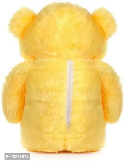 Beautiful Teddy Bears Soft Toys For Kids-thumb4