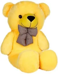 Beautiful Teddy Bears Soft Toys For Kids-thumb1