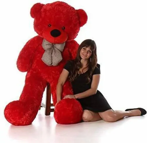 Soft Toy Teddy Bear for Kids/ Gifting