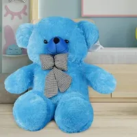 Beautiful Teddy Bears Soft Toys For Kids-thumb2