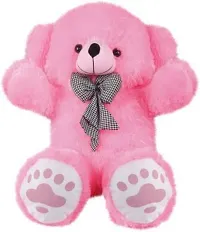 Beautiful Teddy Bears Soft Toys For Kids-thumb3