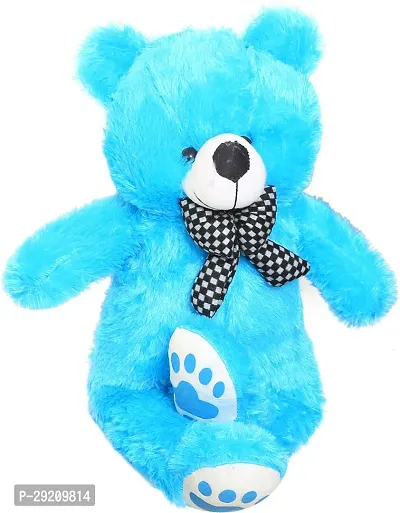 Soft Stuffed Lovable and Huggable Teddy Bear