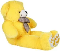 Beautiful Teddy Bears Soft Toys For Kids-thumb3