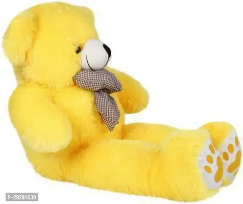 Beautiful Teddy Bears Soft Toys For Kids-thumb4