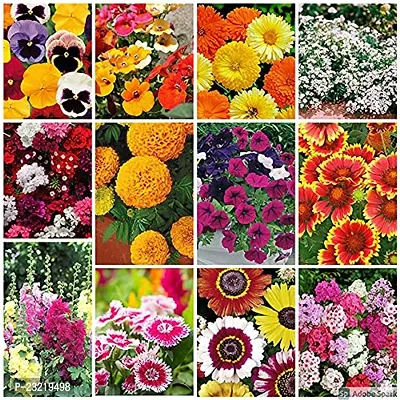 Flower seeds for gardening, Gardening seeds for flower, Gardening flower seeds ( 180 seeds ) - 95% Germination-thumb0