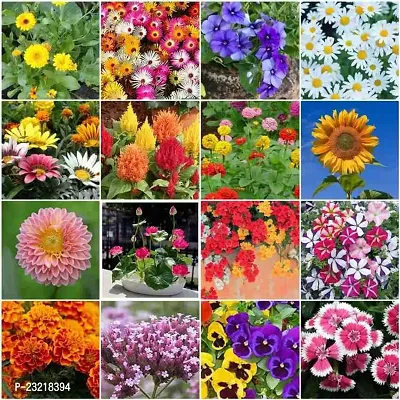 Summer flower seeds, Flower seeds for summer, Seeds for flower in summer season ( 180 seeds ) - 100% Germination-thumb0