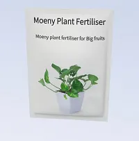 Money plant fertilizer, Fertilizer for money plant 300 gm-thumb1