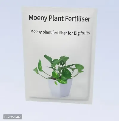 Money plant fertilizer, Fertilizer for money plant 300 gm-thumb2