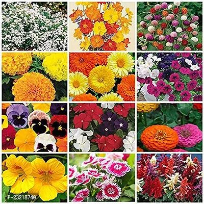 Summer flower seeds, Flower seeds for summer, Seeds for flower in summer season ( 60 seeds ) - 100% Germination-thumb0