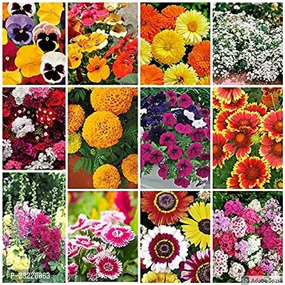 Flower seeds for home garden, Home garden flower seeds , Seeds for flower in home garden ( 200 seeds ) - 100% Germination-thumb0