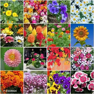 Garden flower seeds, Flower seeds for garden , Seeds for flower in garden ( 180 seeds ) - 100% Germination