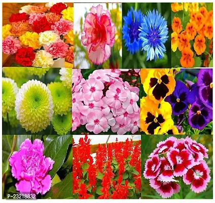 Flower seeds for home garden, Home garden flower seeds , Seeds for flower in home garden ( 80 seeds ) - 100% Germination-thumb0