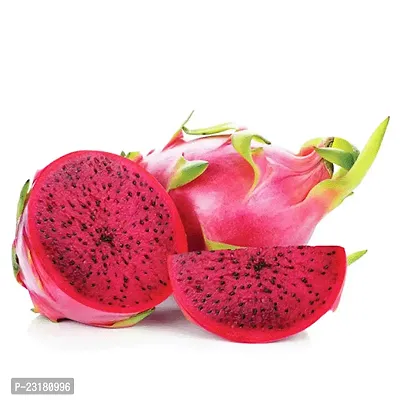 Dragon fruit live plant hybrid red pack of 2-thumb0