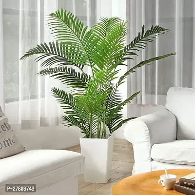 Areca palm tree live plant indoor ( pack of 1 )-thumb0