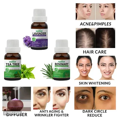 Buy Set of 3 Tea Tree Oil, Lavender Oil, Rosemary Oil Essential Oil Combo  Pack for Skin, Hair, Face Care Aromatherapy Therapeutic Grade (15ml x 3) (Tea  Tree - Lavender - Rosemary)