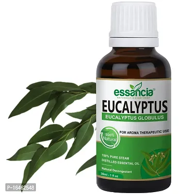 Eucalyptus Essential Oil For Hair Growth, Beard, Skin, Face, Steam, Breathing, Muscle Pain, Home Fragrance, Soap, Mehendi, Diffuser  Aromatherapy. 100% Natural, Undiluted, Pure  Therapeutic Grade Es