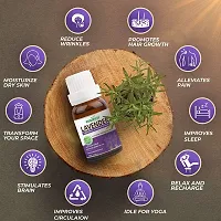 Lavender Essential Oil For Relaxation, Sleep, Laundry, Meditation, Massage, Dry Skin, Hair Growth, Candle, Face, Lips, Diffuser  Aromatherapy. 100% Natural, Undiluted, Pure  Therapeutic Grade Essent-thumb4