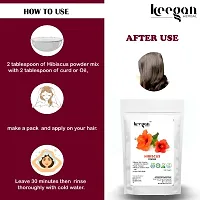 Keegan Herbal Natural  Pure Indigo Powder  Hibiscus Powder Combo For Hair Care | 100gmx2-thumb2