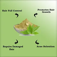 Keegan Herbal Natural Amla Powder(50g), Bhringraj Powder(50g), Curry Leaves Powder(50g), Methi Powder(50g), Hibiscus Powder(50g) For Hair Care-thumb1