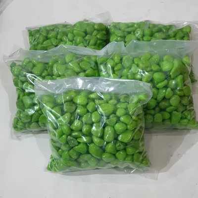 Green color stone pebbles - pack of 5 kg - mix size. Suitable for Aquarium/Garden and general decoration.
