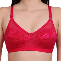 Felizia Women Net Non-Padded Wire Free Regular Bra | Women Net Bra Full Coverage | Wire Free Non Padded Seamless Bra for Women | Cup Type - B-thumb4