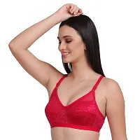 Felizia Women Net Non-Padded Wire Free Regular Bra | Women Net Bra Full Coverage | Wire Free Non Padded Seamless Bra for Women | Cup Type - B-thumb3