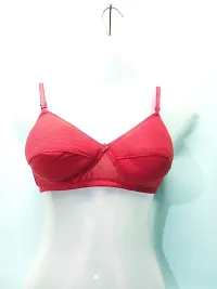 Allgt;women And Girl fome Bra,Women Fome Bra.Women bragt;Girl Bragt;Ladies bra,foambra,padded bra-thumb4