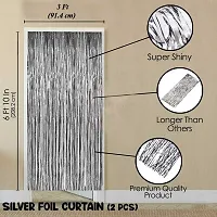 Surprises Planner Super Shiny Silver Fringe Curtains Photo Backdrops for Birthday/Anniversary/Party/Celebration - Pack of 2-thumb2